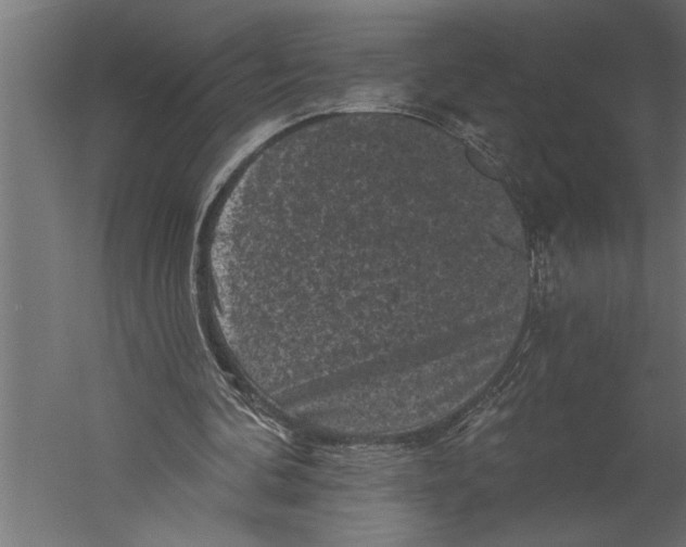 X0000060220292200511241247