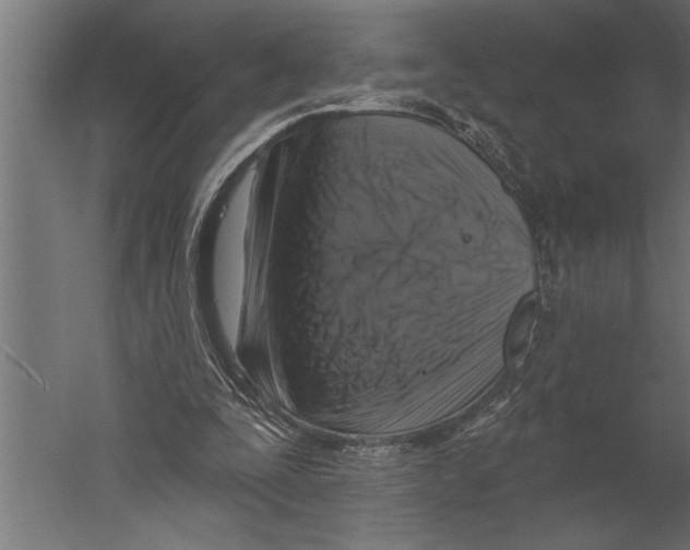 X0000060220295200511241247