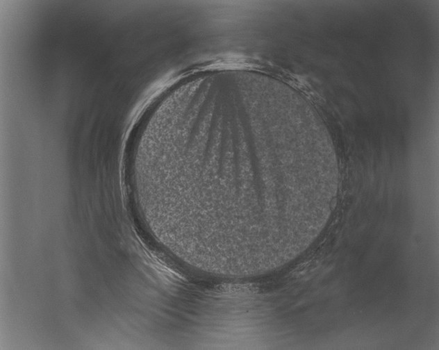 X0000060220296200511241247
