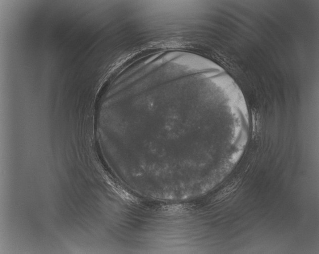 X0000060220301200511241247