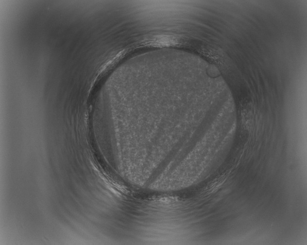 X0000060220304200511241246
