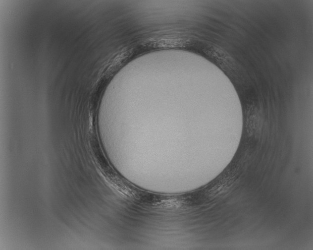 X0000060220310200511241246