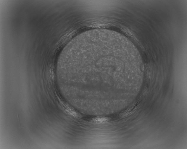 X0000060220313200511241246