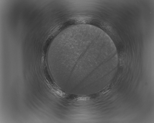 X0000060220314200511241246