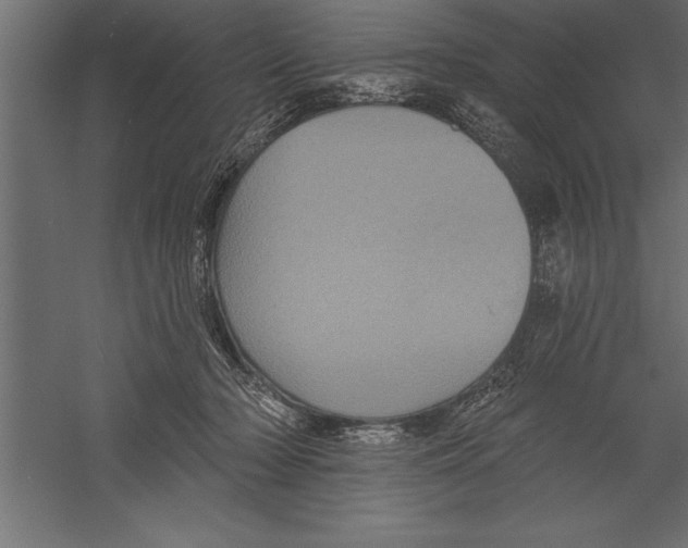 X0000060220318200511241246