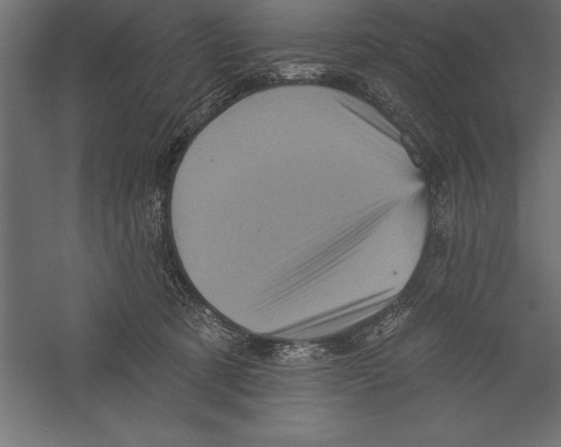 X0000060220321200511241246