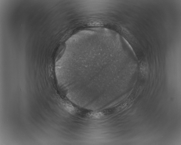 X0000060220322200511241246