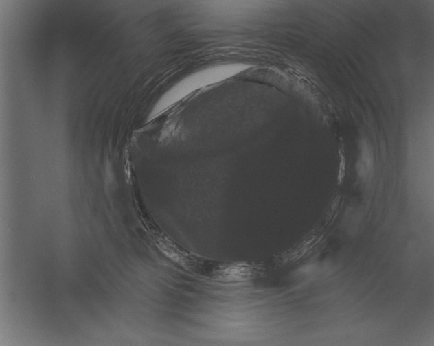 X0000060220325200511241246