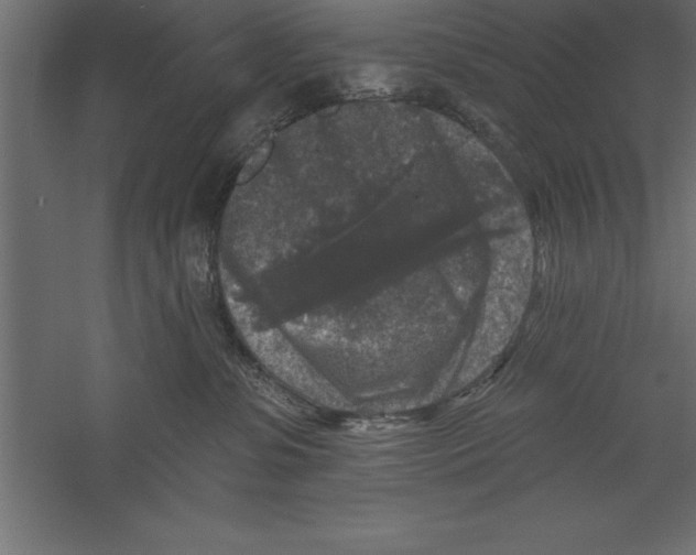 X0000060220331200511241246
