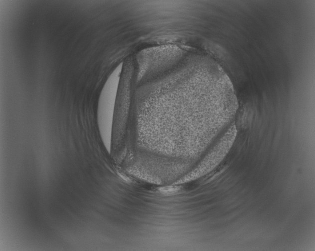 X0000060220335200511241246