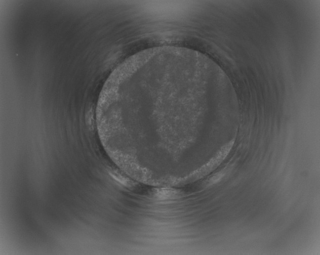 X0000060220336200511241246