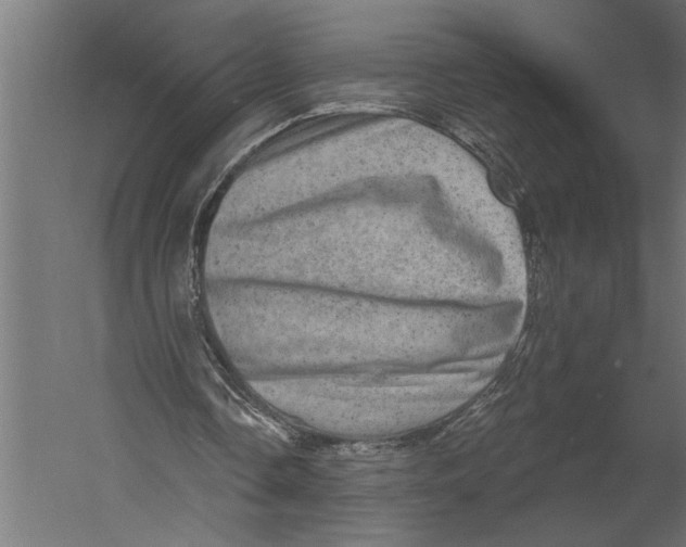 X0000060220338200511241245