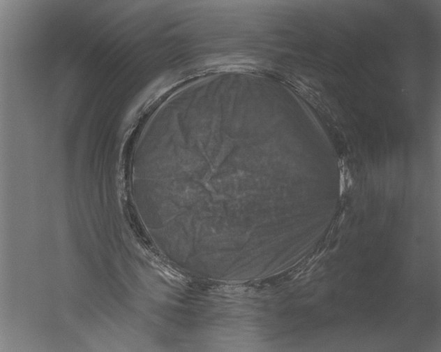 X0000060220339200511241245