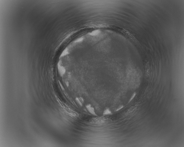 X0000060220351200511241245