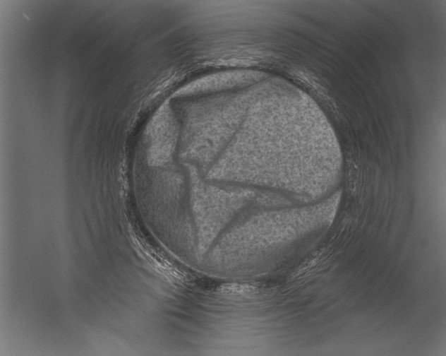 X0000060220354200511241245