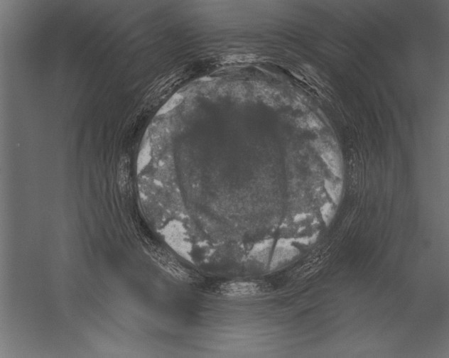 X0000060220361200511241246
