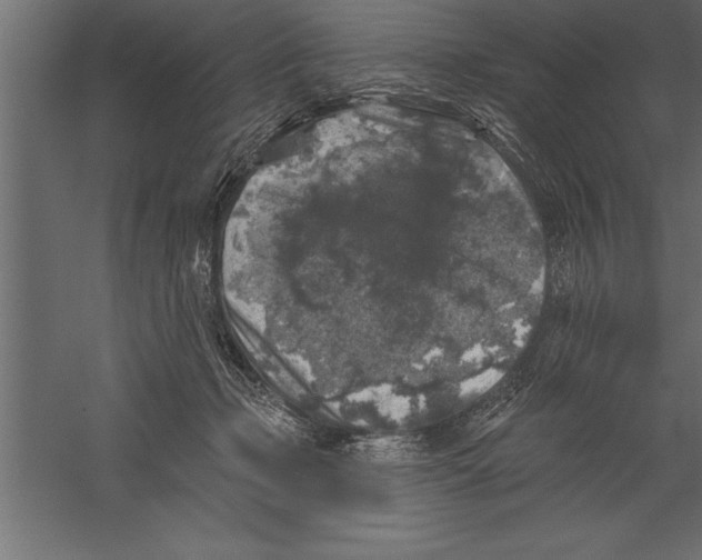 X0000060220365200511241246