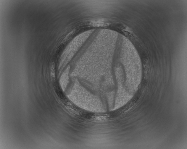 X0000060220368200511241246