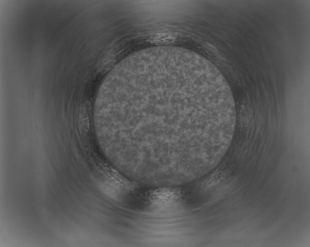 X0000060220370200511241246
