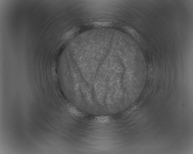 X0000060220377200511241246