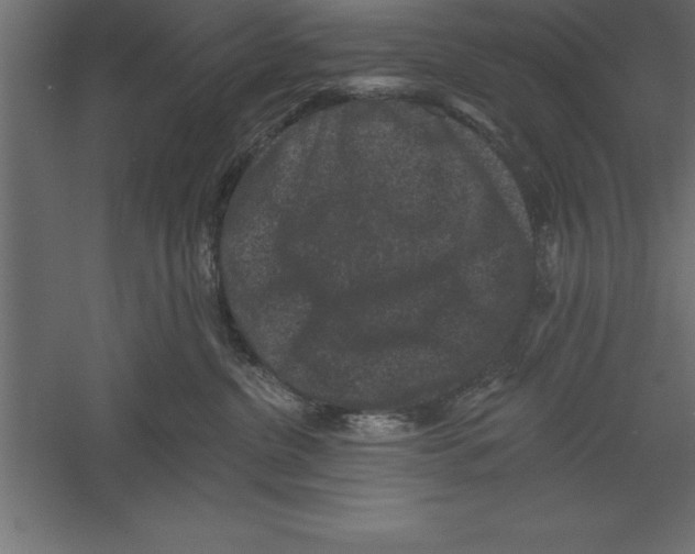 X0000060220380200511241246