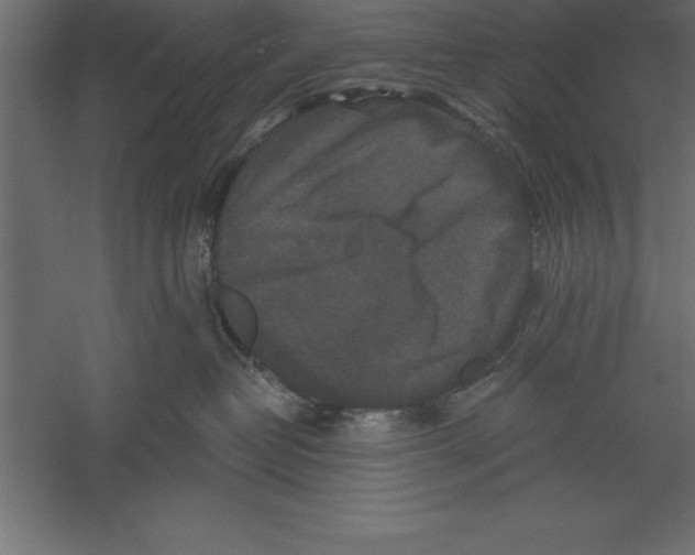X0000060220382200511241246