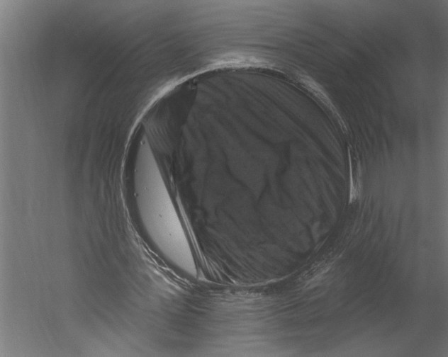 X0000060220387200511241245