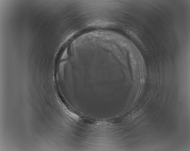 X0000060220399200511241245