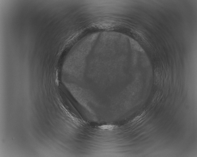 X0000060220404200511241245