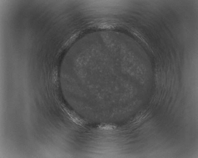 X0000060220407200511241245