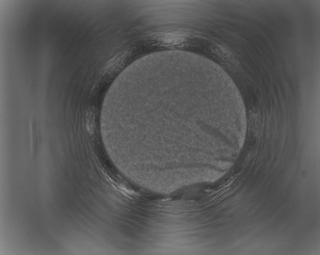 X0000060220412200511241245