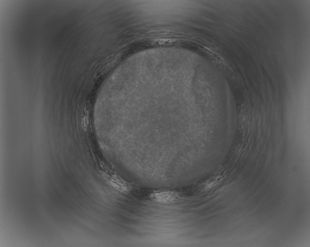 X0000060220417200511241245