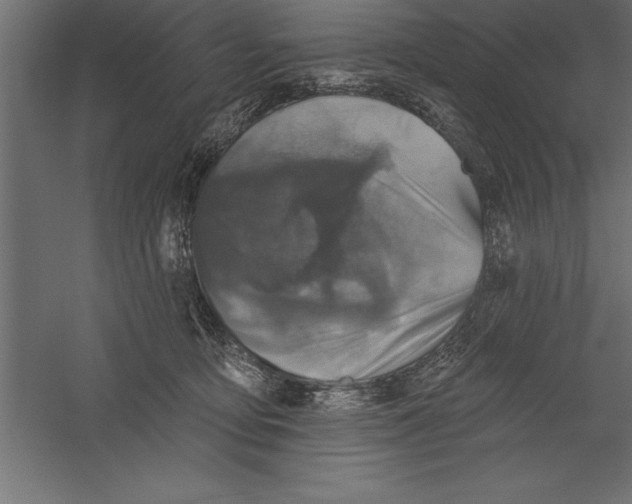 X0000060220419200511241245