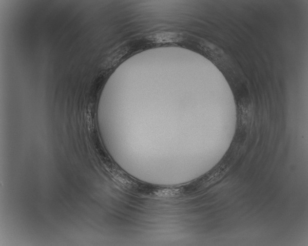 X0000060220422200511241244