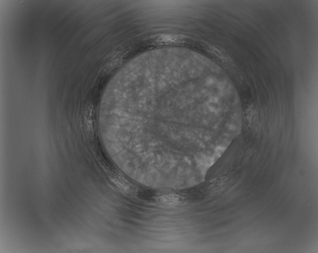 X0000060220423200511241244