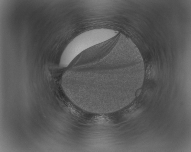 X0000060220424200511241244