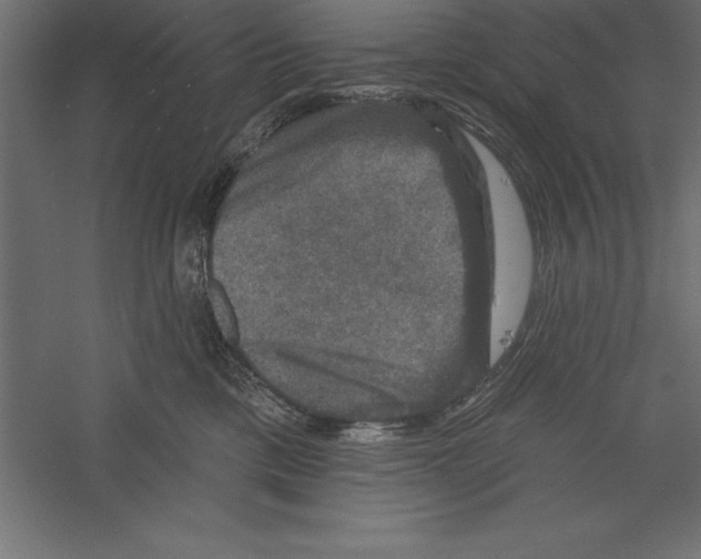 X0000060220425200511241244