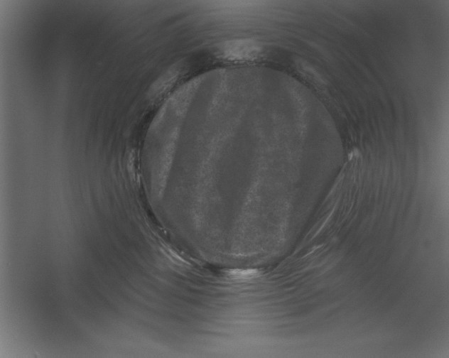 X0000060220428200511241244