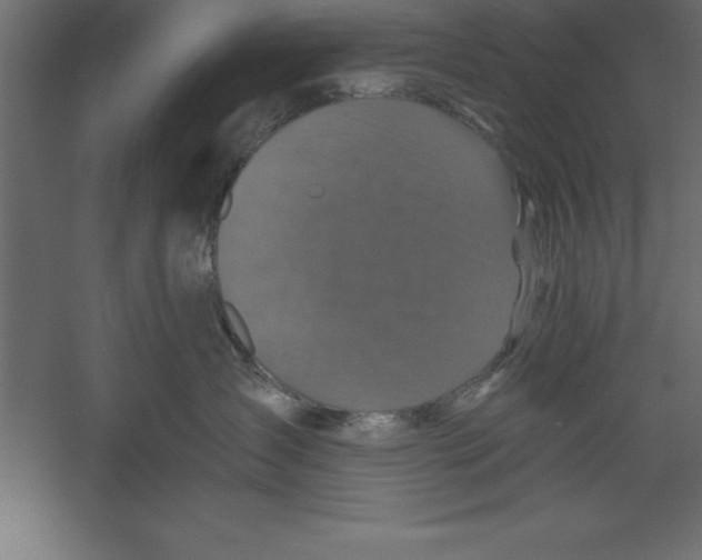 X0000060220431200511241244