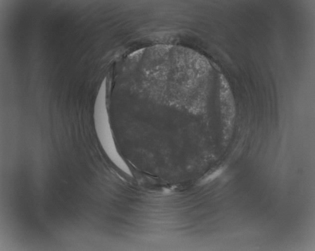X0000060220432200511241244