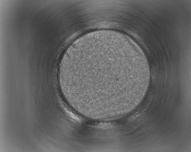 X0000060220445200511241244