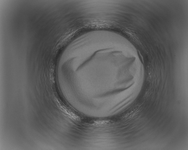 X0000060220450200511241244