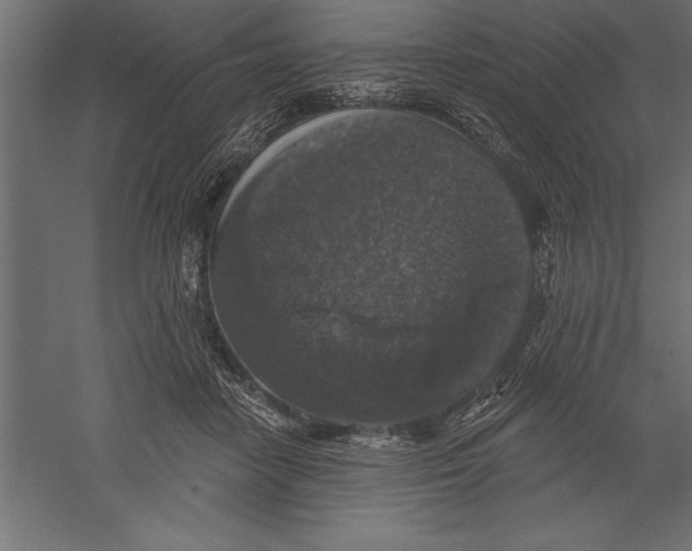 X0000060220458200511241244