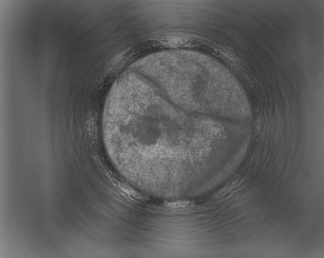 X0000060220461200511241244