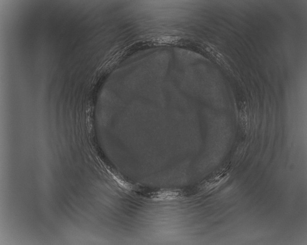 X0000060220462200511241244
