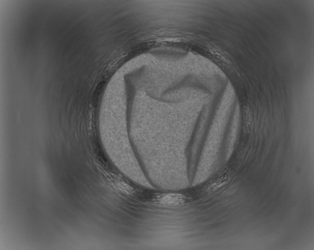 X0000060220463200511241244