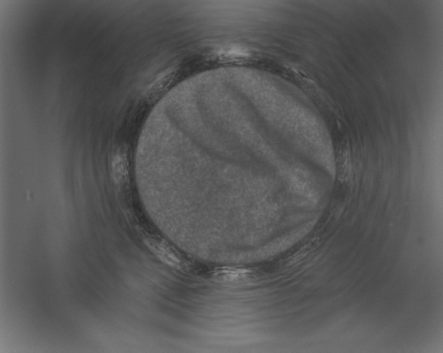 X0000060220472200511241244