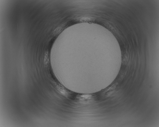 X0000060220478200511241244