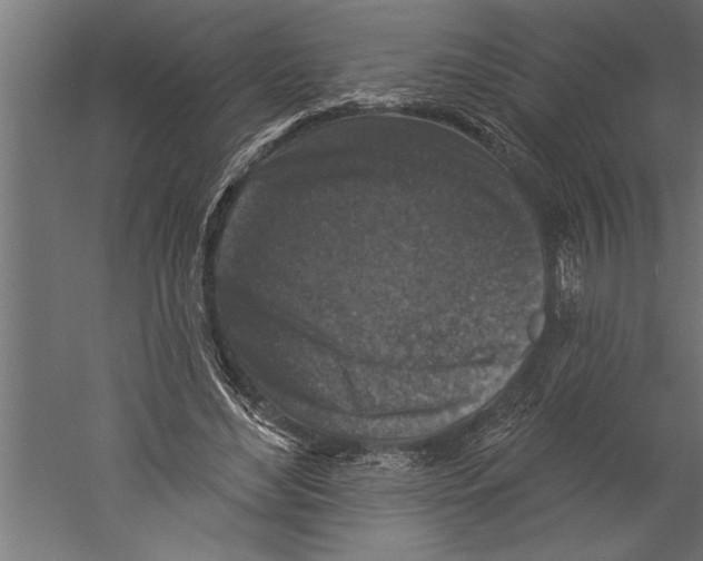 X0000060220492200511241243