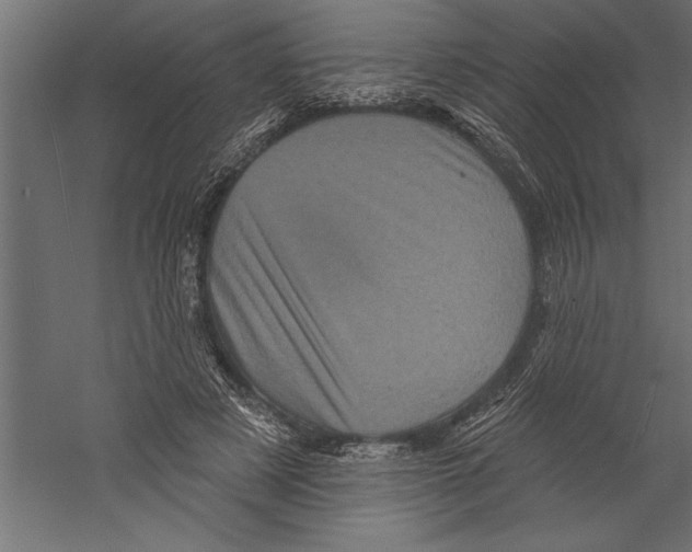 X0000060220497200511241243